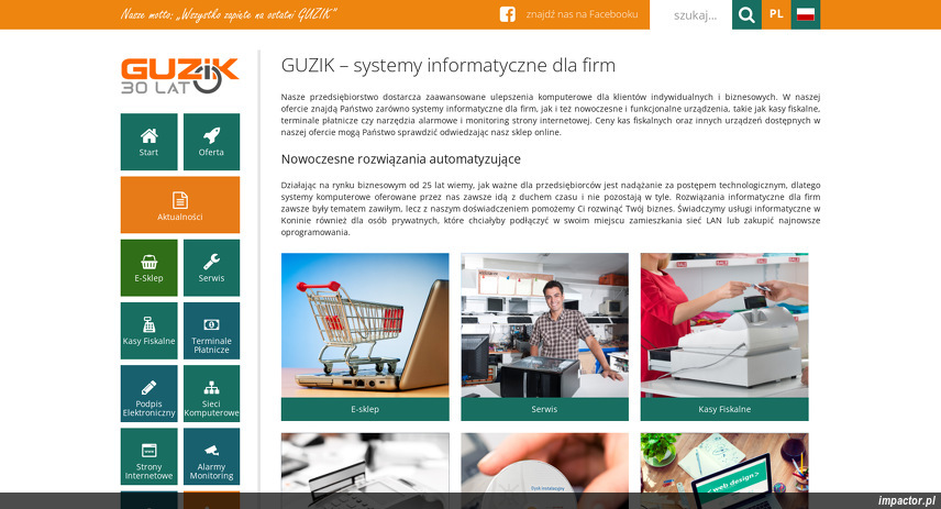 guzik-systemy-informatyczne